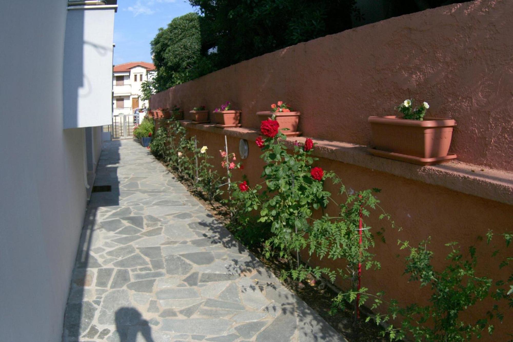 Mare D'Oro Apartment Sarti Bagian luar foto